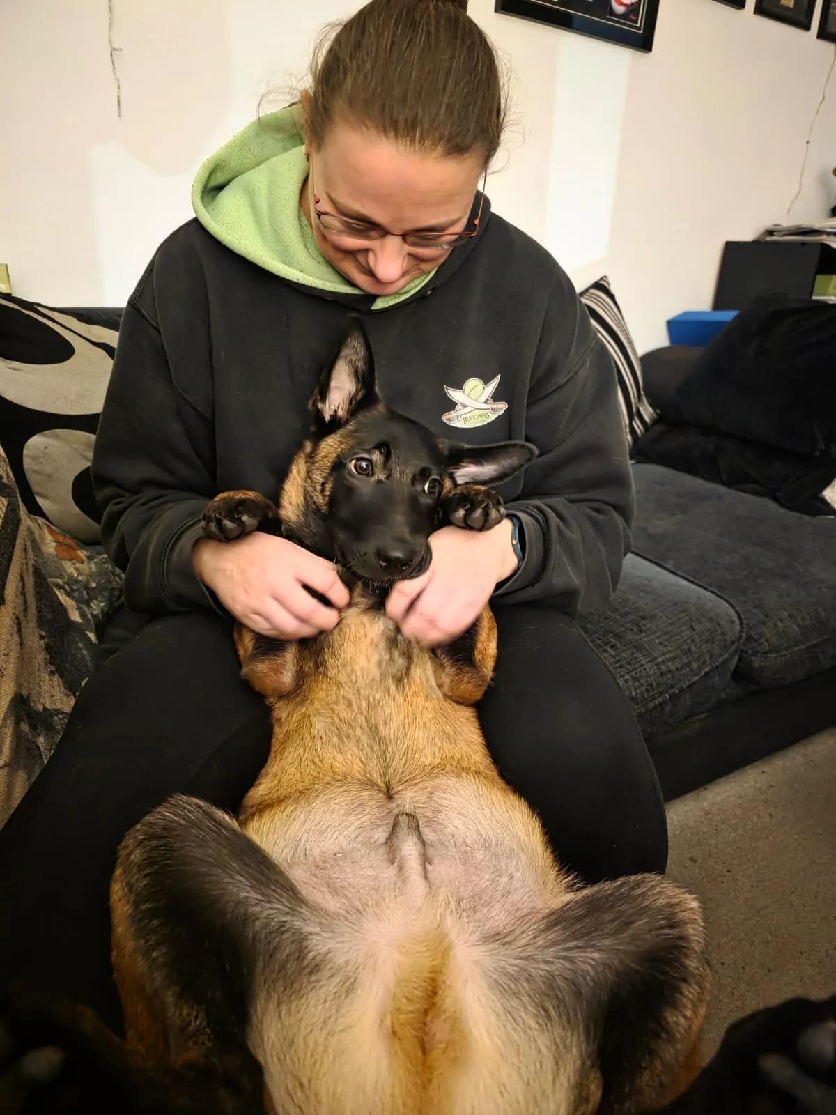 Ozzy, K litter puppy, photo 6