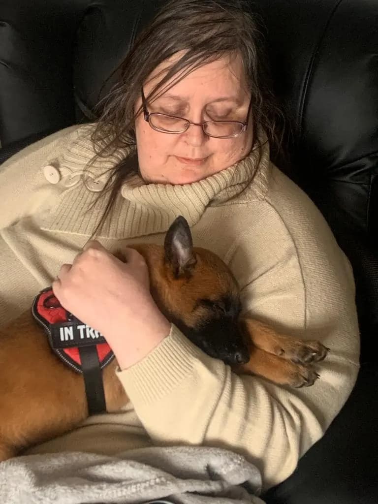 Sasha, D litter puppy, photo 4