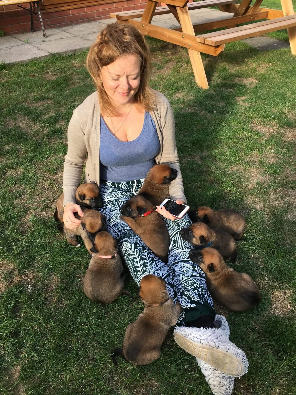 AnkerCanis puppies sitting on and around a woman on the grass