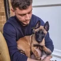 Arya, AnkerCanis Infinity